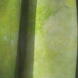 Into the Clearing Forest - Traditional Curtain - 1 Panel