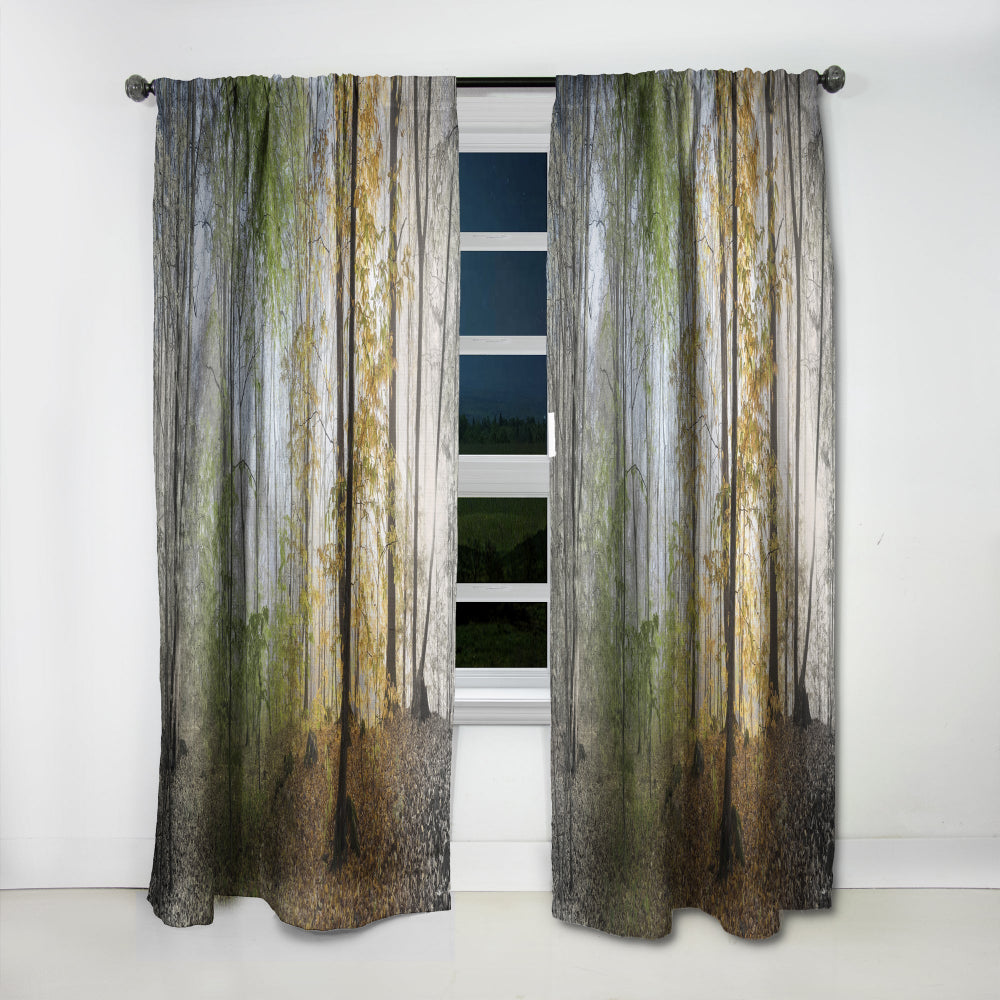 Morning Forest Panoramic View - Landscape Curtain - 1 Panel