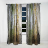 Morning Forest Panoramic View - Landscape Curtain - 1 Panel