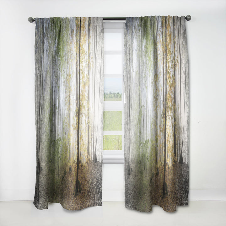 Morning Forest Panoramic View - Landscape Curtain - 1 Panel
