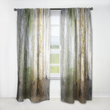 Morning Forest Panoramic View - Landscape Curtain - 1 Panel
