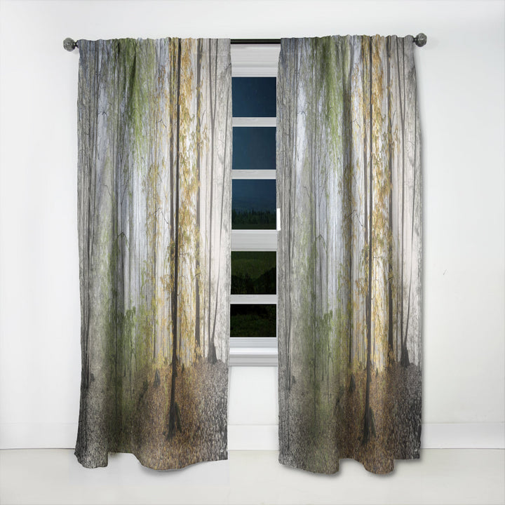 Morning Forest Panoramic View - Landscape Curtain - 1 Panel
