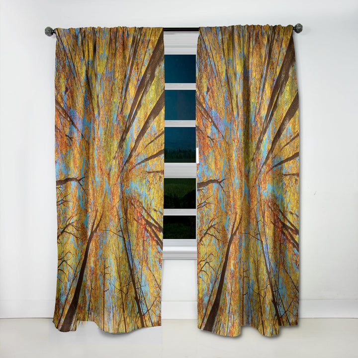 Tree Tops in Autumn Forest - Forest Curtain - 1 Panel