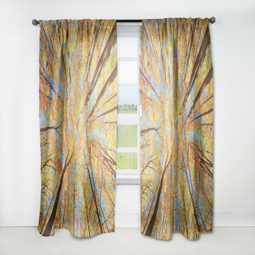Tree Tops in Autumn Forest - Forest Curtain - 1 Panel