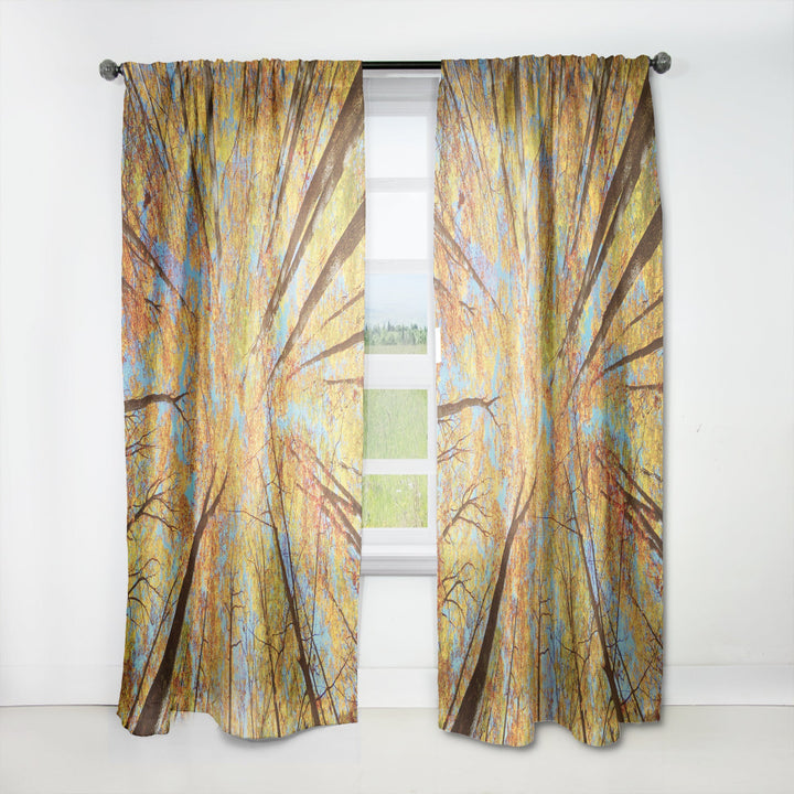 Tree Tops in Autumn Forest - Forest Curtain - 1 Panel