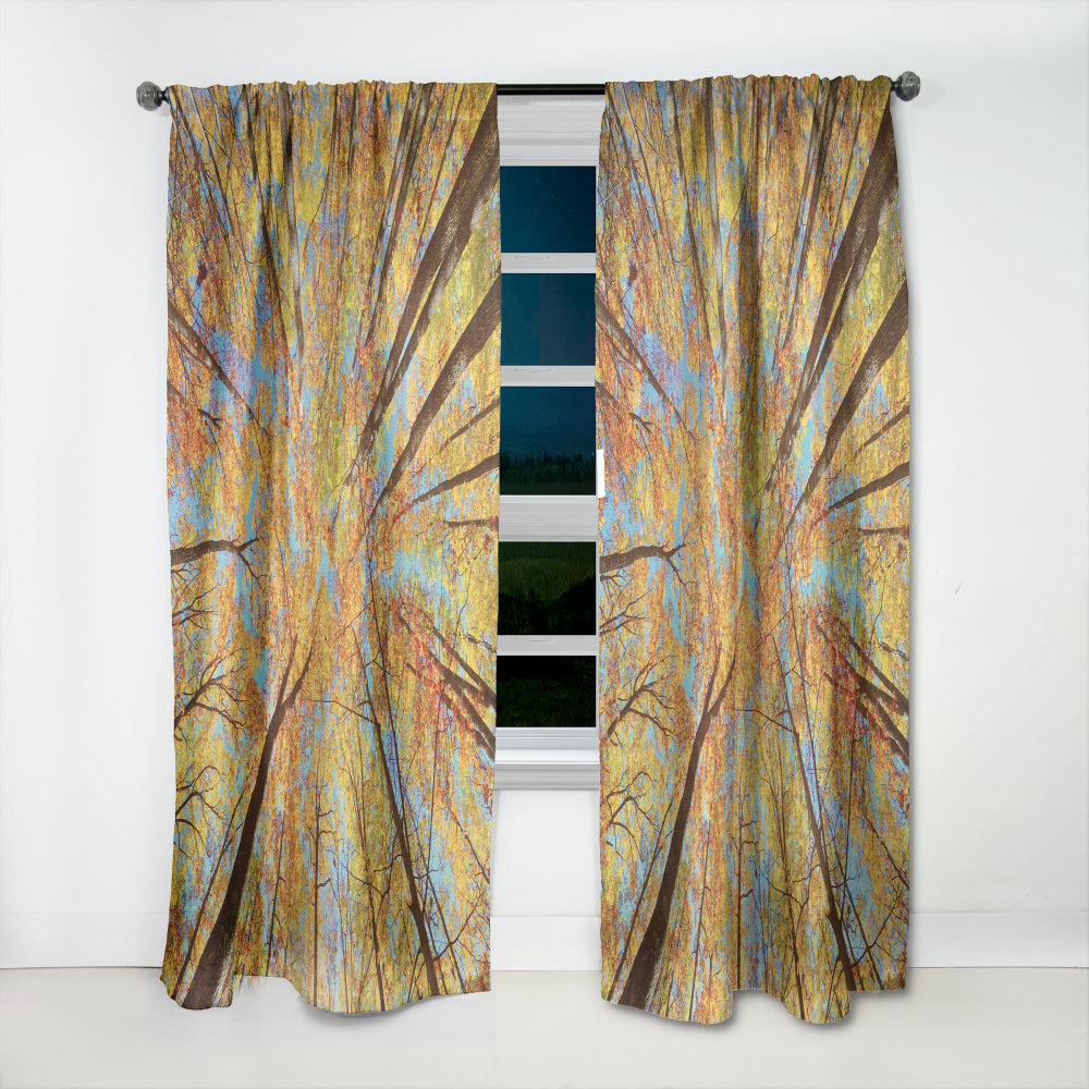 Tree Tops in Autumn Forest - Forest Curtain - 1 Panel