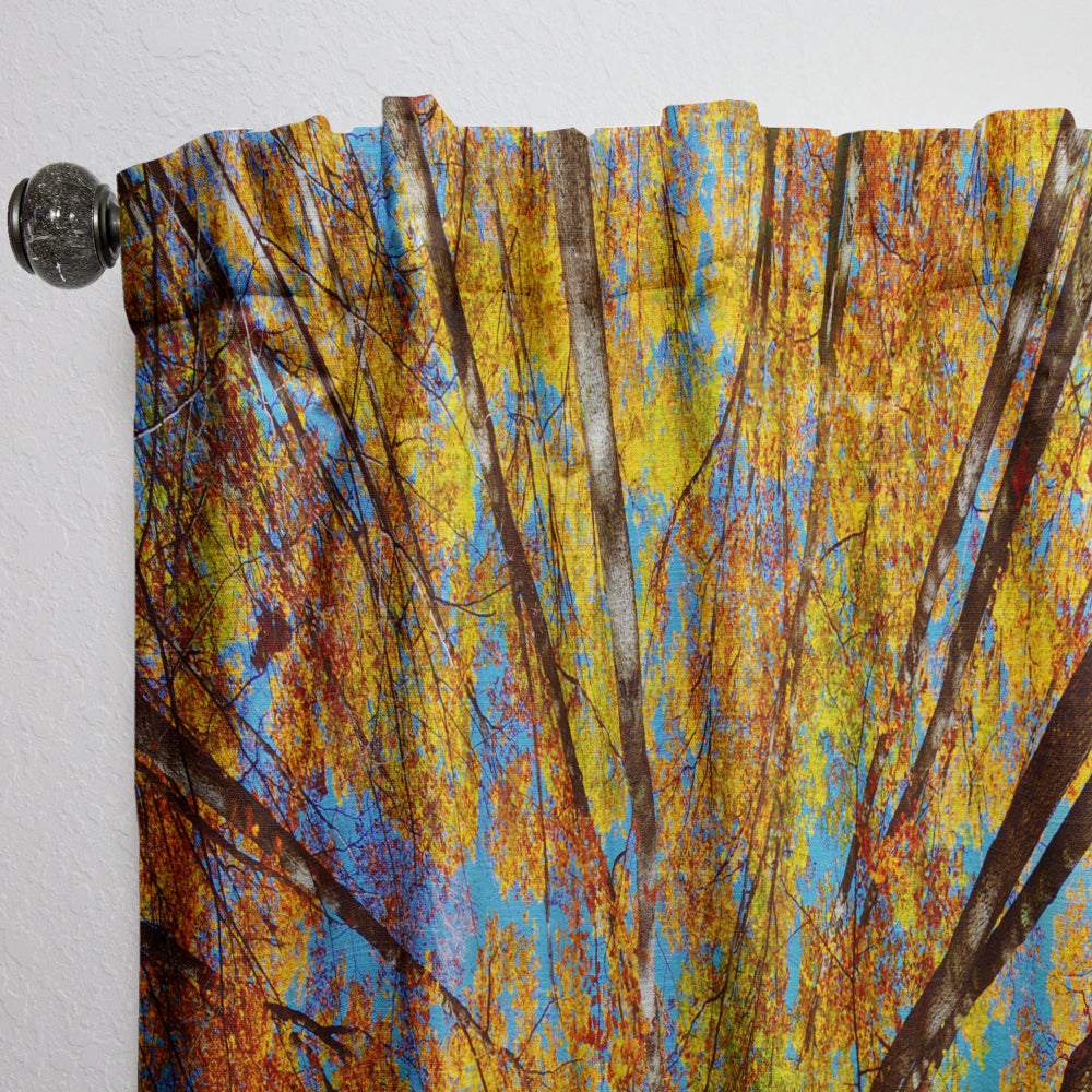 Tree Tops in Autumn Forest - Forest Curtain - 1 Panel