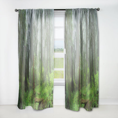 Hoh Rain Forest - Landscape Curtain - 1 Panel