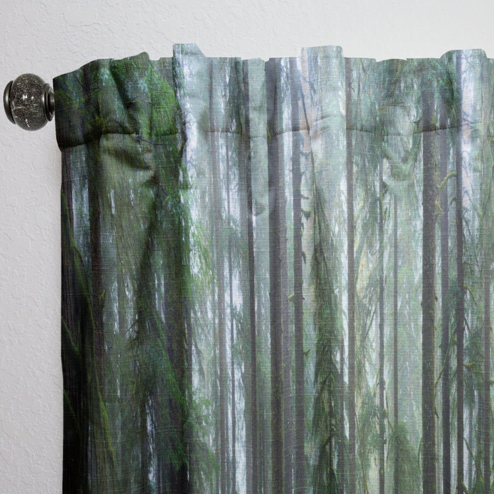 Hoh Rain Forest - Landscape Curtain - 1 Panel