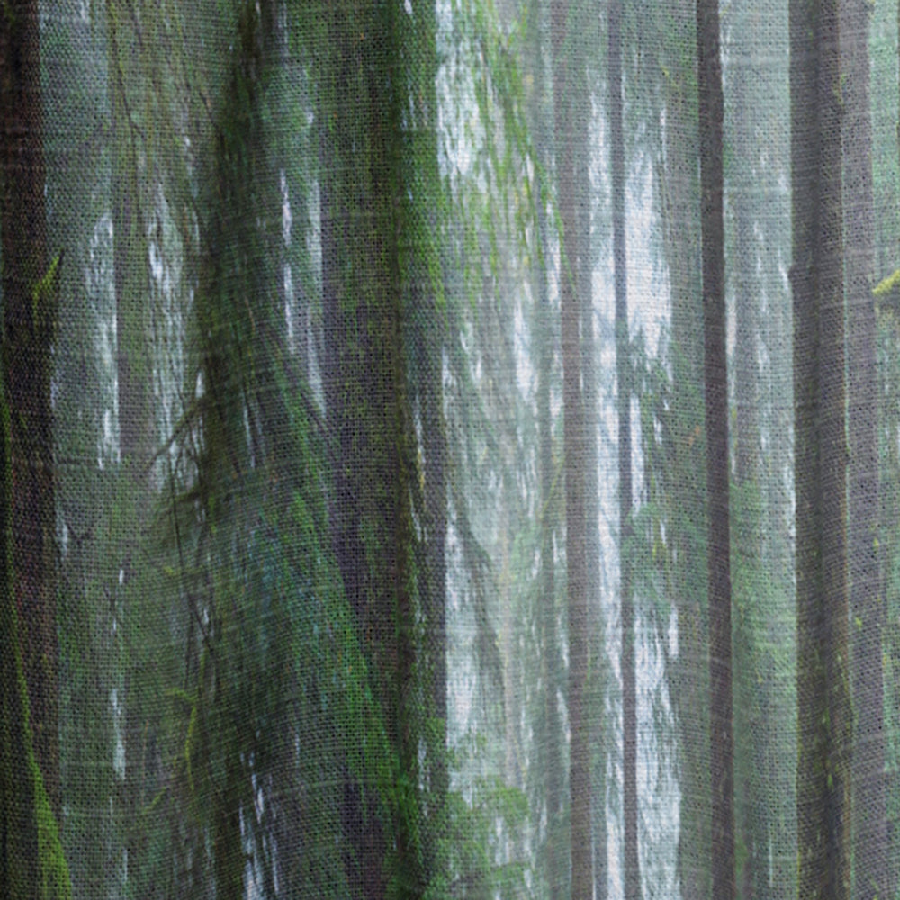 Hoh Rain Forest - Landscape Curtain - 1 Panel