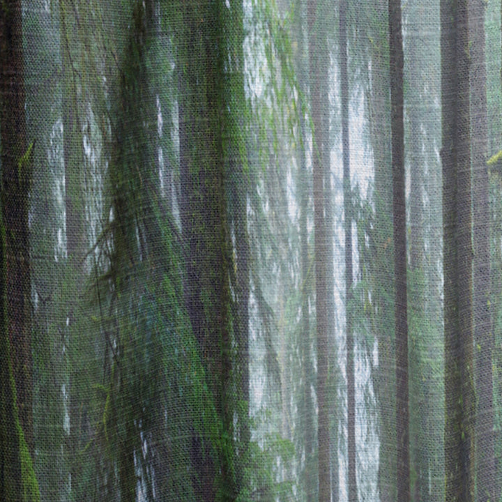 Hoh Rain Forest - Landscape Curtain - 1 Panel