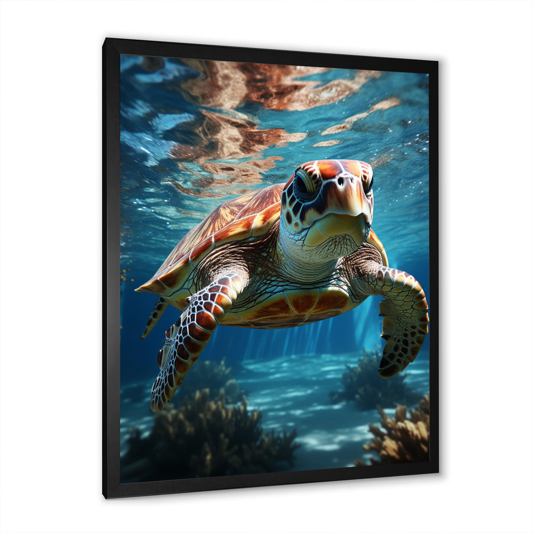 Turtle Aquatic Wanderer in Ocean - Turtle Home Decor Art