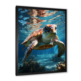 Turtle Aquatic Wanderer in Ocean - Turtle Home Decor Art