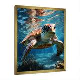 Turtle Aquatic Wanderer in Ocean - Turtle Home Decor Art
