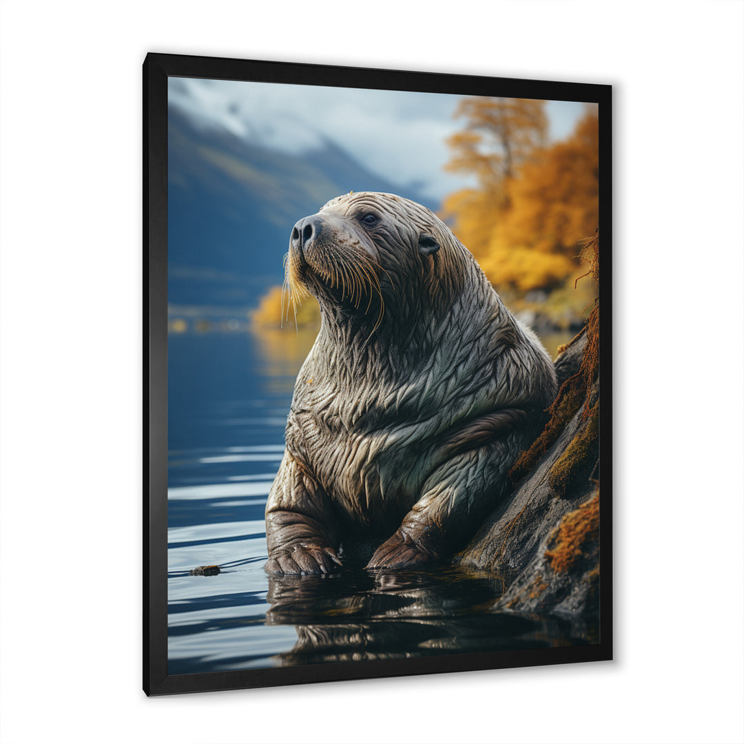 Walrus Coastal Reflections - Walrus Wall Decor