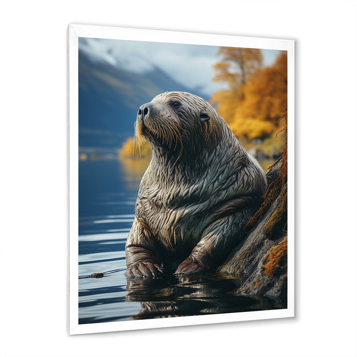 Walrus Coastal Reflections - Walrus Wall Decor
