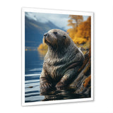 Walrus Coastal Reflections - Walrus Wall Decor