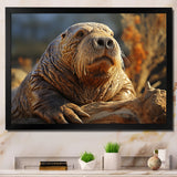 Walrus Golden Tusks - Walrus Wall Decor