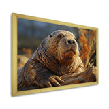 Walrus Golden Tusks - Walrus Wall Decor