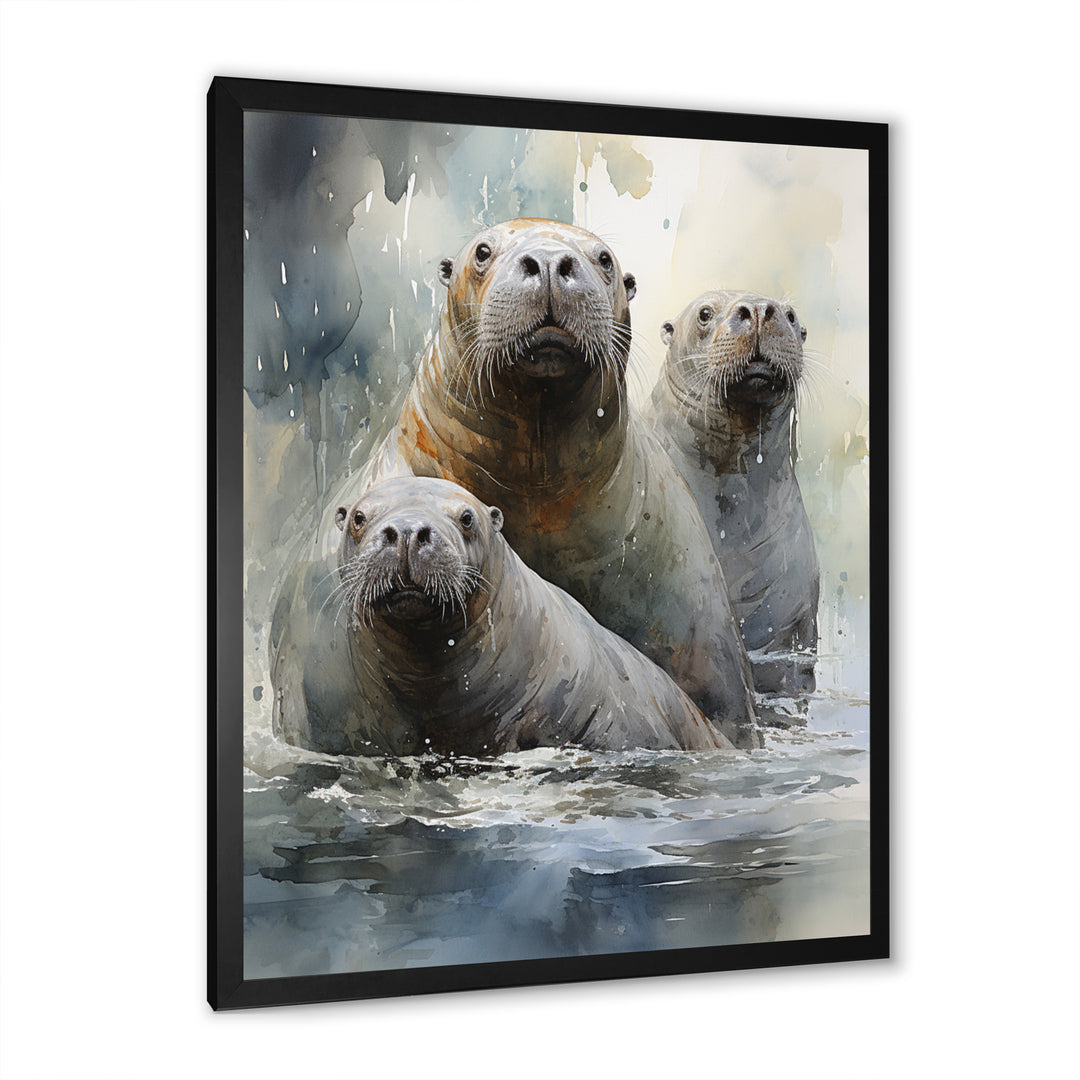 Walrus Graceful Giants - Walrus Wall Art Prints