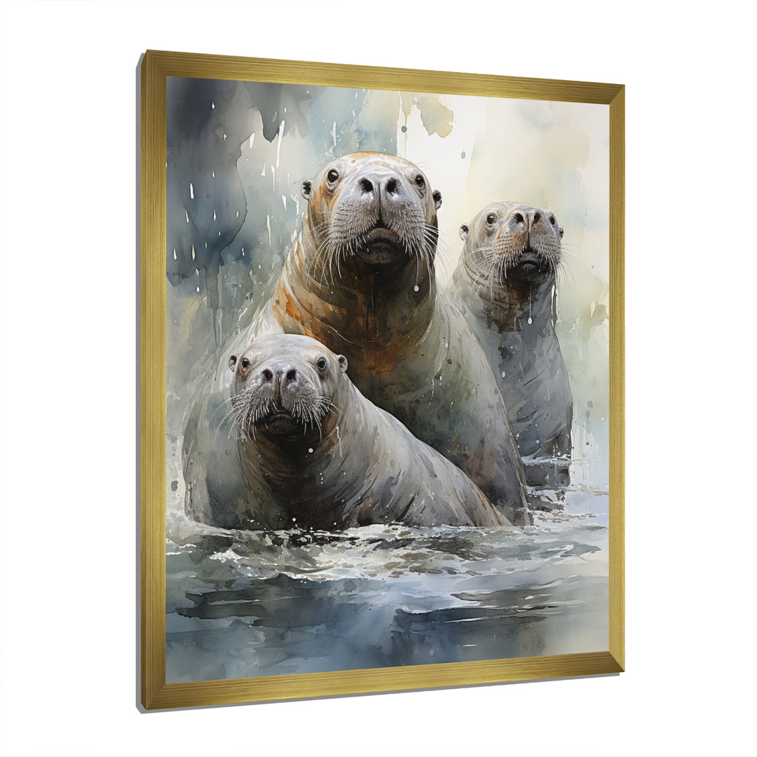 Walrus Graceful Giants - Walrus Wall Art Prints