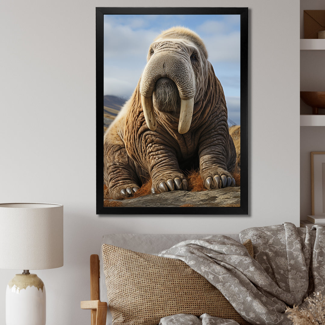 Walrus Majestic Ivory - Brown Walrus Wall Art