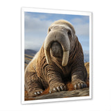 Walrus Majestic Ivory - Brown Walrus Wall Art