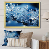 Glimmering Snowflakes II - Landscapes Canvas Wall Art