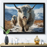 Yaks Majestic In Winter - Yaks Wall Art Prints