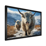 Yaks Majestic In Winter - Yaks Wall Art Prints