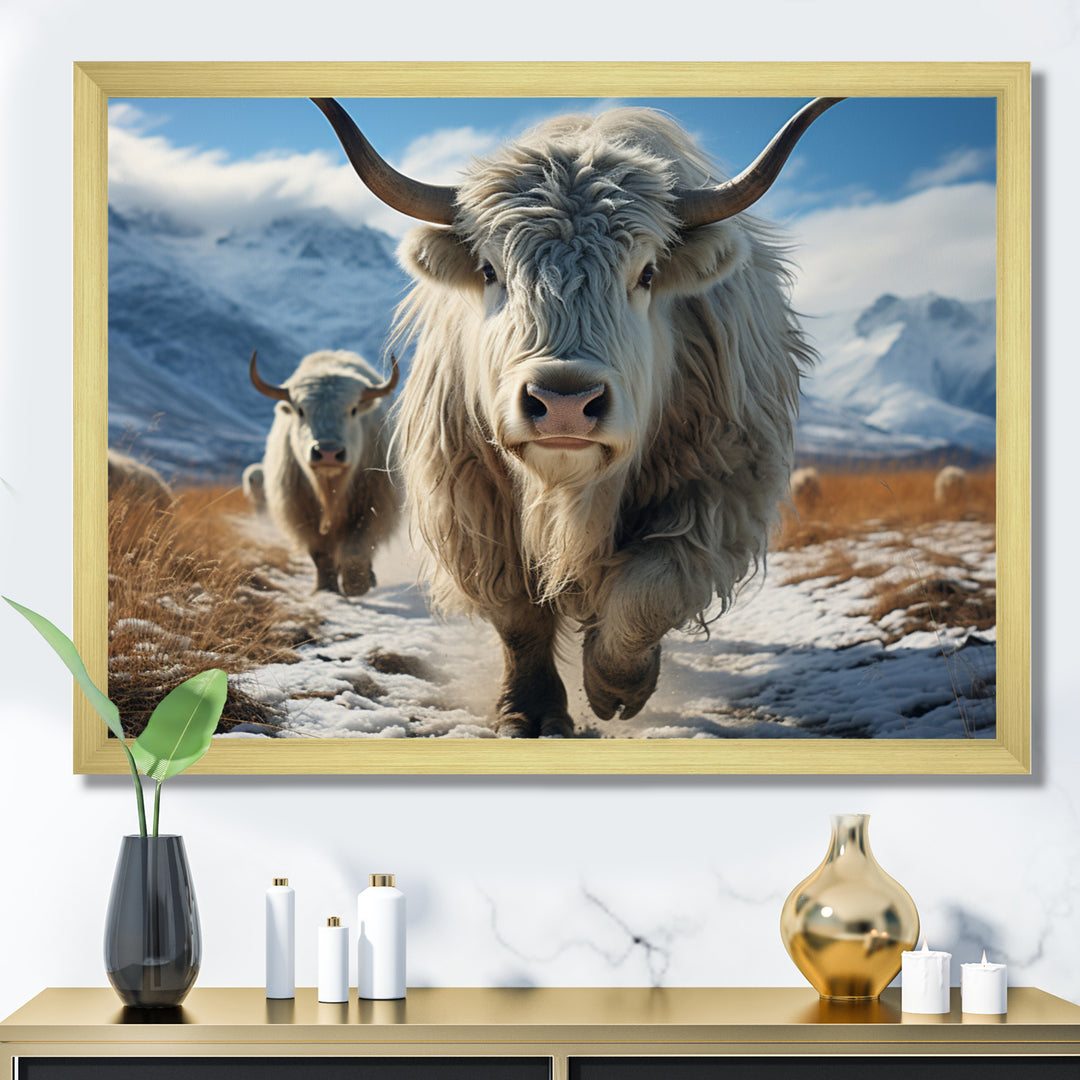Yaks Majestic In Winter - Yaks Wall Art Prints