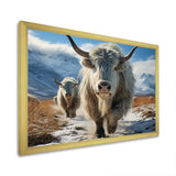 Yaks Majestic In Winter - Yaks Wall Art Prints