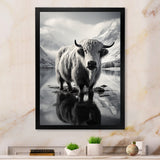 Yaks Serenade Of The Peak - Gray Yaks Wall Art