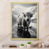 Yaks Serenade Of The Peak - Gray Yaks Wall Art