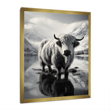Yaks Serenade Of The Peak - Gray Yaks Wall Art