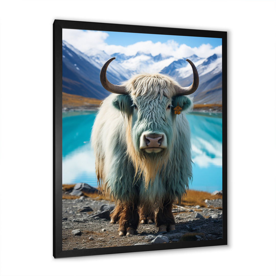 Yaks Solitude In Monochrome - Yaks Home Decor Art