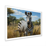 Zebra Realistic Wildlife Portrait - Zebra Wall Decor