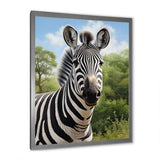 Zebra Realistic Zebra Portrait - Zebra Wall Decor