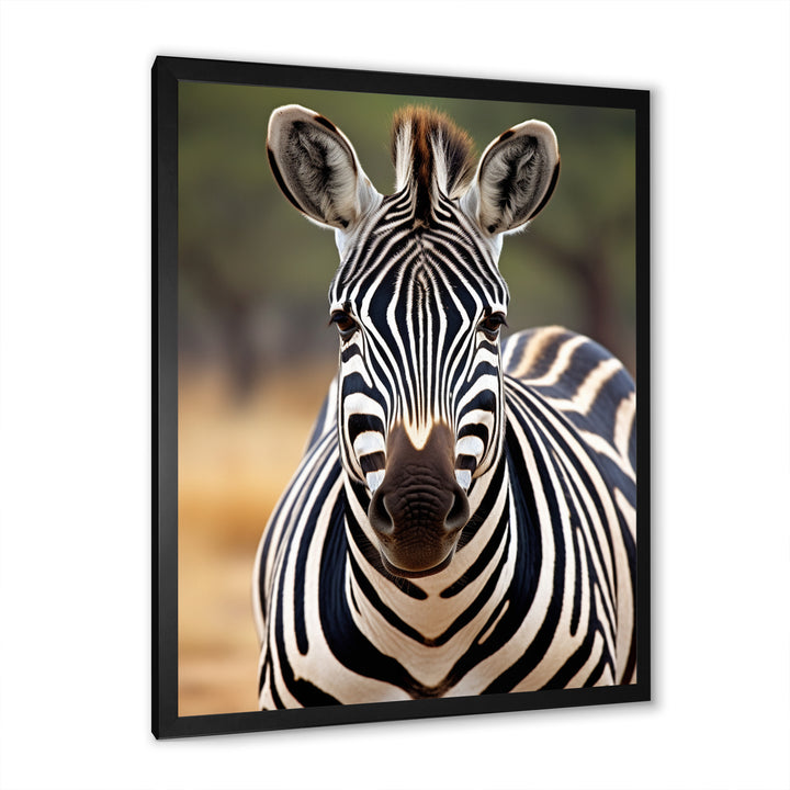 Zebra Patterns In - Zebra Living Room Wall Art