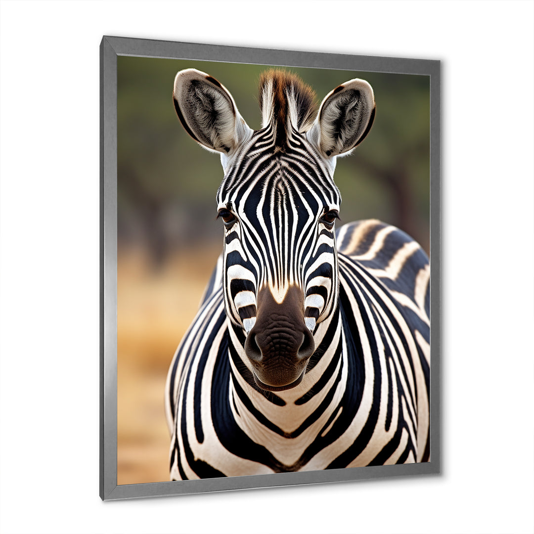 Zebra Patterns In - Zebra Living Room Wall Art