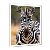 Zebra Patterns In - Zebra Living Room Wall Art