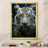 Tiger Zenith Portrait - Zebra Canvas Wall Art