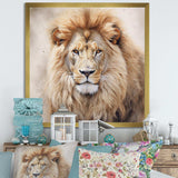 Fierce Lion II - Animals Canvas Wall Art