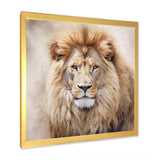 Fierce Lion II - Animals Canvas Wall Art