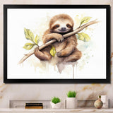 Lazy Sloth - Animals Canvas Wall Art