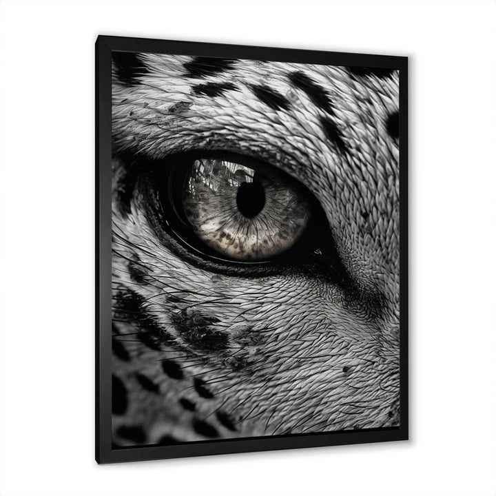 Fierce Tiger Eye - Tiger Framed Canvas Art