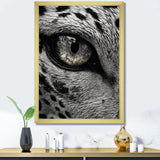 Fierce Tiger Eye - Tiger Framed Canvas Art