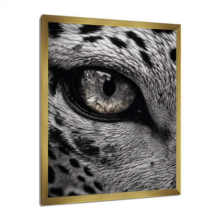 Fierce Tiger Eye - Tiger Framed Canvas Art