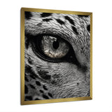 Fierce Tiger Eye - Tiger Framed Canvas Art