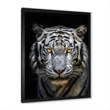 Fierce White Tiger II - Animals Canvas Wall Art